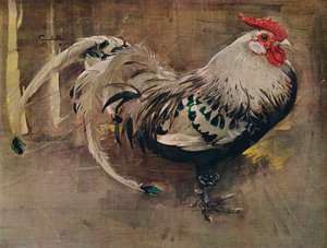 Der gesprenkelte Hahn, 1903 1935