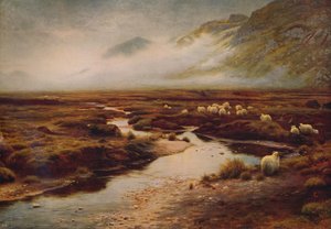 Das Moos bei Poolewe, 1913