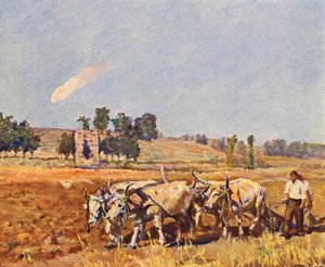 Rom: La campagne de Rome, Boeufs au labour