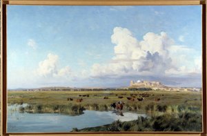 Landschaft der Camargue