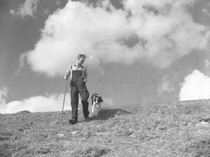 Ein Schäfer und sein Schäferhund spazieren in Martindale