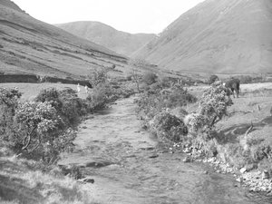Ein Bach fließt durch die Landschaft von Wastwater
