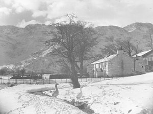 Gänse im Vordergrund neben kleinem Bach mit schneebedecktem Boden und Gebäuden im Hintergrund