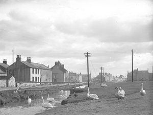 Straße in Allonby mit Schwänen und Bach