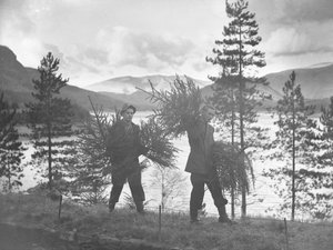 Zwei junge Männer tragen kleine Weihnachtsbäume am Ufer von Thirlmere