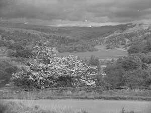 Blick über einen See bei Rydal