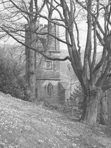 Blick auf eine Kirche; Architektur; religiös; kirchlich; Turm durch Bäume