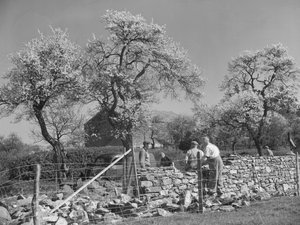 Mauerer arbeiten an Trockenmauer
