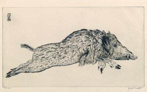 Wildschwein (Le Sanglier) (Gravur)