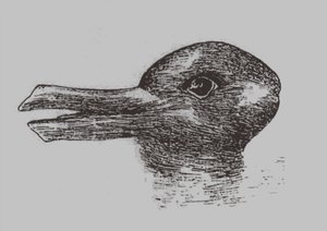 Ente-Kaninchen-Illusion. Aus: Jastrow, J. Das Auge des Geistes. Popular Science Monthly, 1899 von Joseph Jastrow