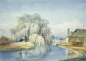 Eine Trauerweide von Joseph Mallord William Turner
