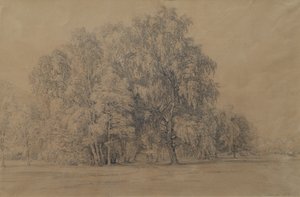 Birkengruppe im Park von Schloss Seebenstein in Niederösterreich von Joseph Martin Höger