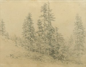 Edeltann