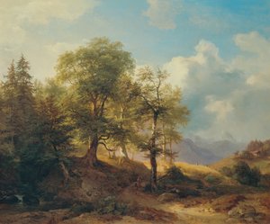 Sommerlandschaft im Hochgebirge