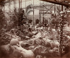 Der Kristallpalast in London: der tropische Bereich, ca. 1870 (s/w Foto)