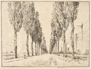 Die Allee bei Valenciennes