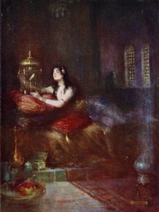 Die Sultanin und ihr Kanarienvogel