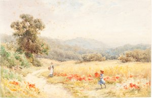 Sommer von Joseph Rubens Powell