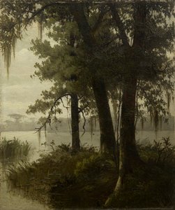 Sumpfszene