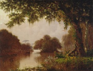 Sumpf am Mississippi, 1871