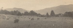 Landschaft mit Bäumen und Bergen