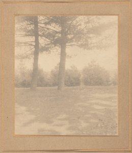 Landschaft mit Bäumen, ca. 1900 von Joseph Turner Keiley