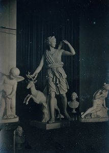 Skulpturengalerie, Boston Athenaeum, ca. 1855. Schöpfer: Josiah Johnson Hawes, Albert Sands Southworth