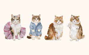 Niedlich gekleidete Katzen