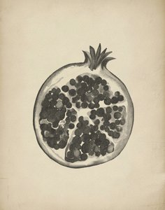 Geschnittener Granatapfel von Josie George