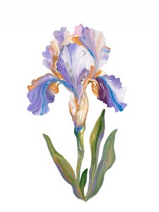 Lebendige malerische Iris
