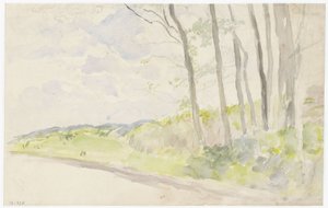 Baumgruppe an einem Weg