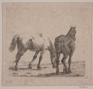 Zwei Pferde von Jørgen V. Sonne