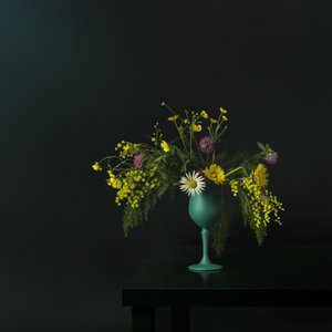 Elegantes Wildblumen Stillleben
