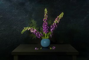 Lila Fingerhut Stillleben