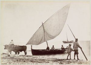 Ochsen ziehen Fischerboot am Strand von Valencia