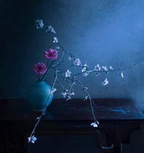 Dunkle Blumeneleganz
