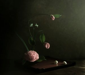 Rosa Kamelie Ikebana