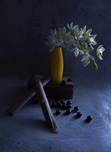 Weiße Orchideen Gelbe Vase