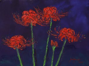 Lebendige rote Spinnenlilien