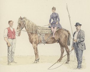 Pferdetrainer