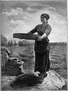 Raps-Siebmaschine: nach dem Gemälde von Jules Breton. In „Die Familie“ von 1888. von Jules Breton