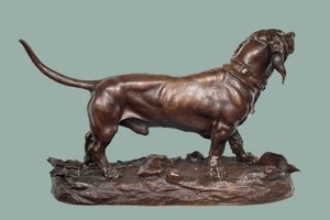 Ein Basset Hound