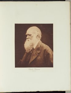 Charles Darwin von Julia Margaret Cameron