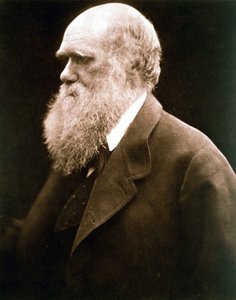 Charles Darwin, britischer Naturforscher, ca. 1870er Jahre