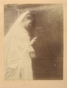 Enid von Julia Margaret Cameron