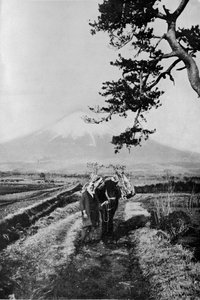 Bauern der Region Fuji nicht namentlich, sondern nur als O Yama, der Ehrenwerte Berg, ca. 1900