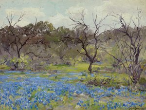 Früher Frühling—Blauhauben und Mesquite