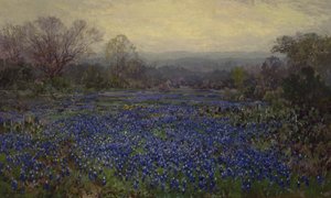 Ohne Titel - Feld von Bluebonnets