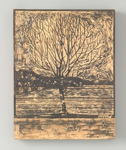 Kahler Baum
