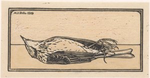 Toter Vogel